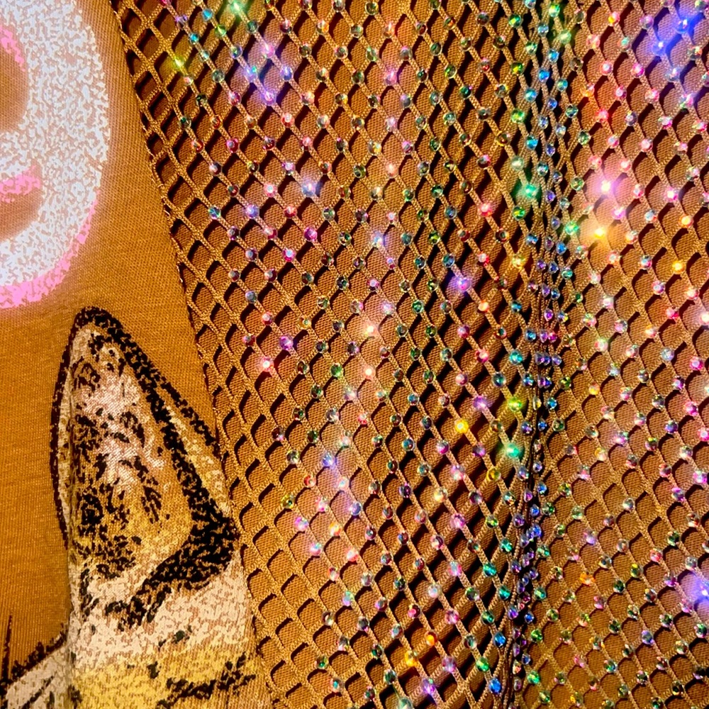 Def Leopard Rhinestone Mesh Top - Picture 2 of 8